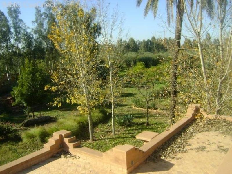 marrakech Exclusive, einmalig schöne landwirtschafliche Liegenschaft mit Villa und Olivenhainen Haus kaufen